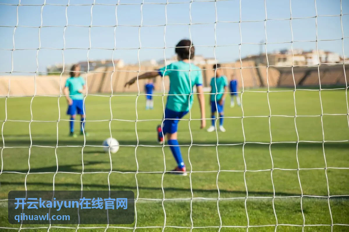开云kaiyun在线企业级部署架构示意